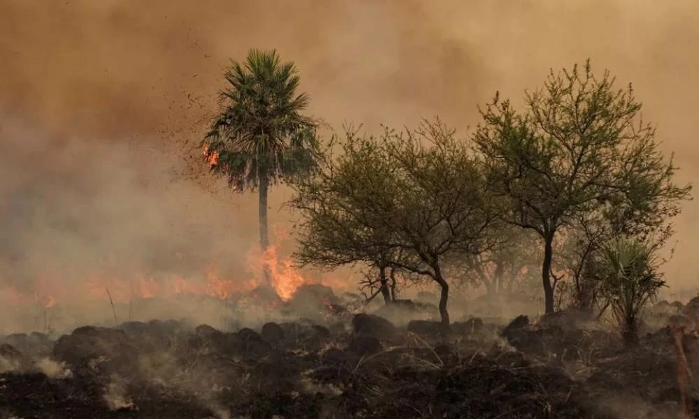 Φωτιά στη Σιβηρία: 200 κτίρια καίγονται – Τουλάχιστον 5 νεκροί